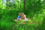 thumbnails/003-IMG_9156.JPG.small.jpeg